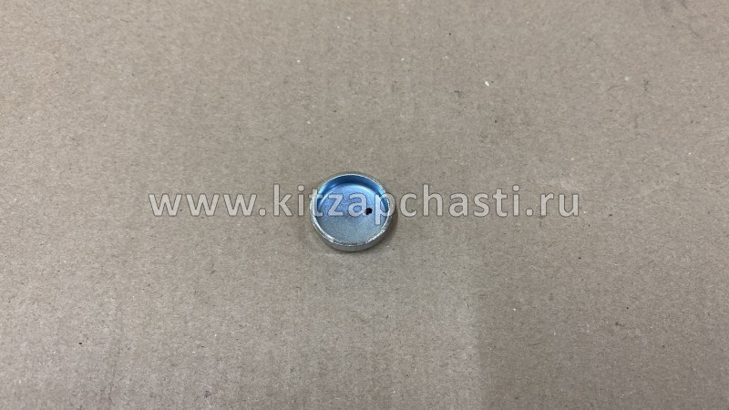 Заглушка блока цилиндров 4HG1/4HK1 ISUZU NQR75 1096000160